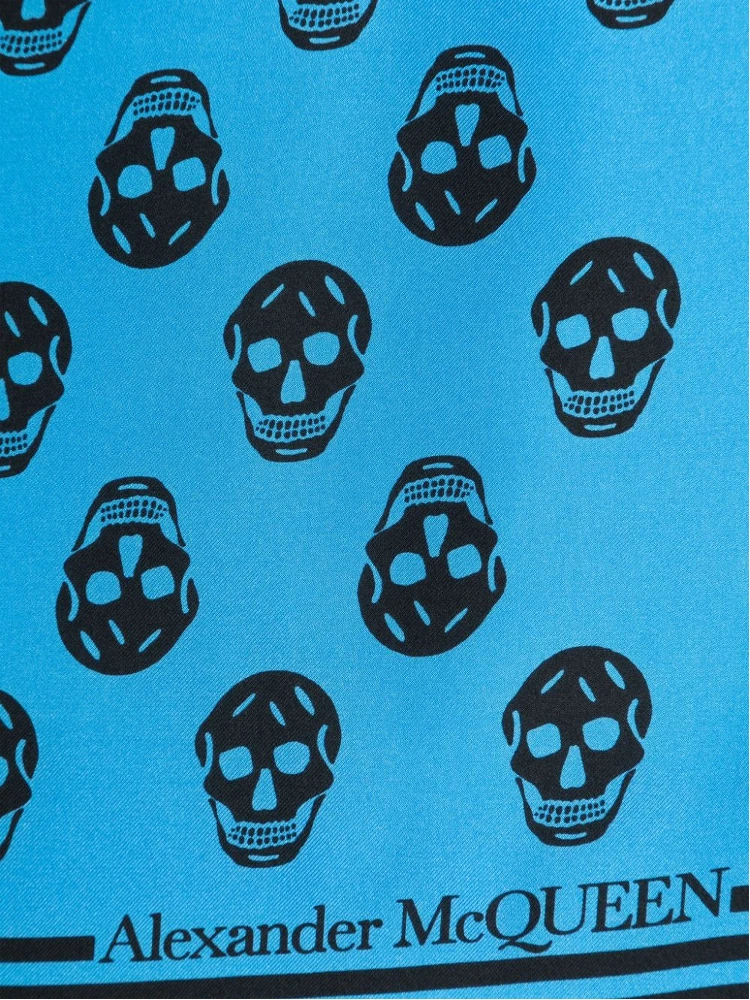Alexander Mc Queen Skull Silk Scarf alternative