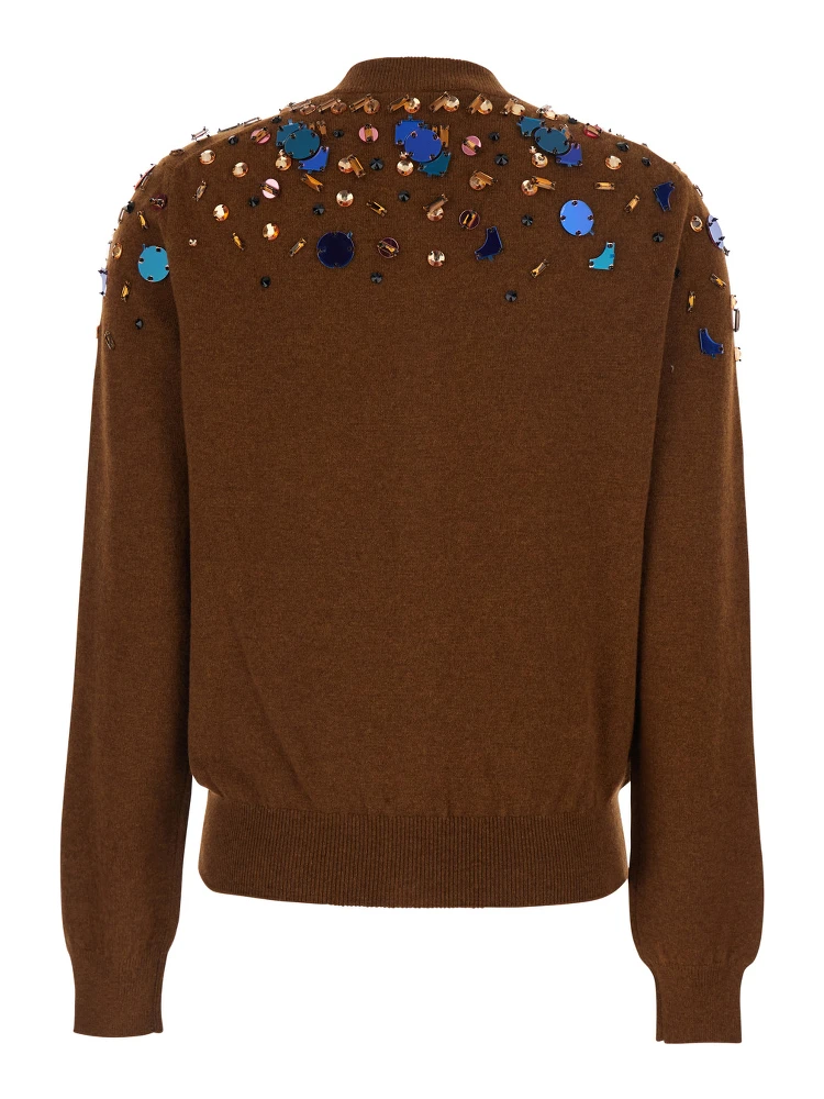Brown Crewneck Cardigan with Rhinestone Embroidery in Wool and Cashmere Woman alternative