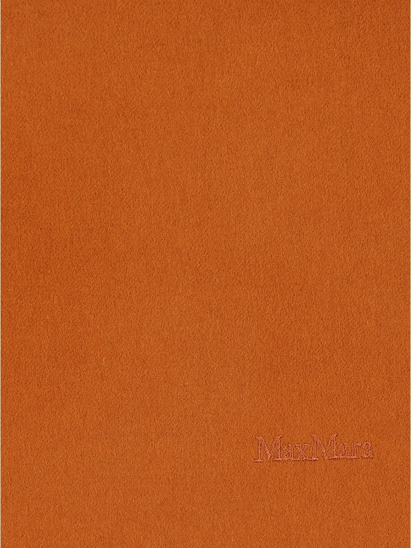 Max Mara Scarfs