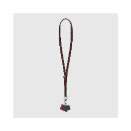 Lanyard phone holder with Web