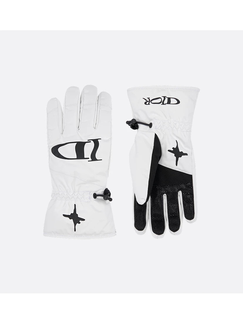 "Dior and Lewis Hamilton" ski gloves