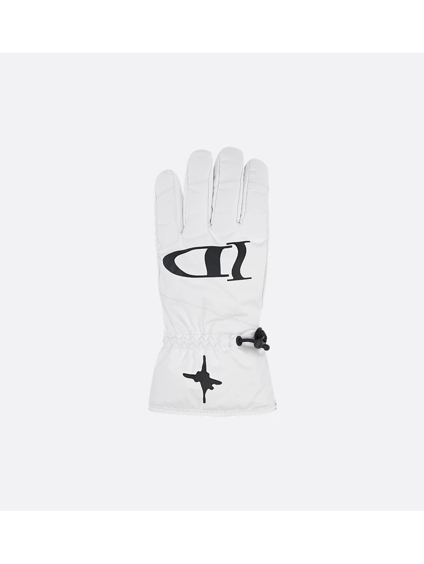 "Dior and Lewis Hamilton" ski gloves