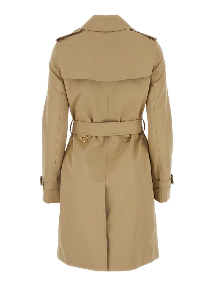 KENSINGTON ORG 2 alternative