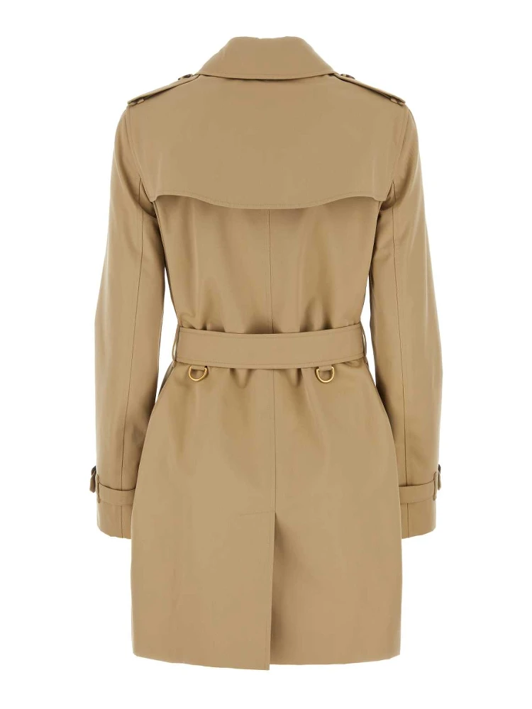 KENSINGTON SHT ORG 2 alternative