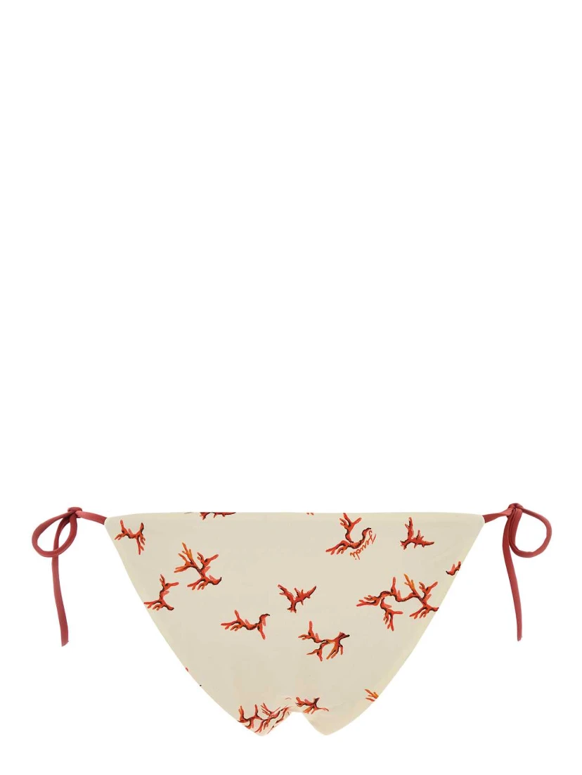 TANGA CORAL REEF LYC