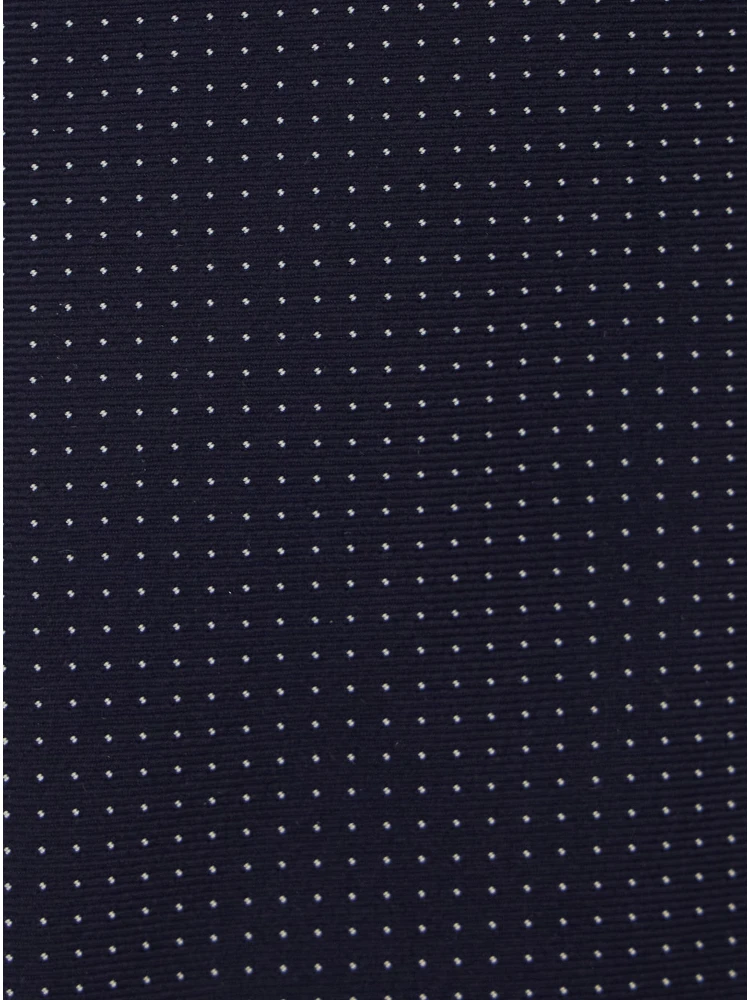 BlueTie with All-Over Polka Dots in Silk Man alternative