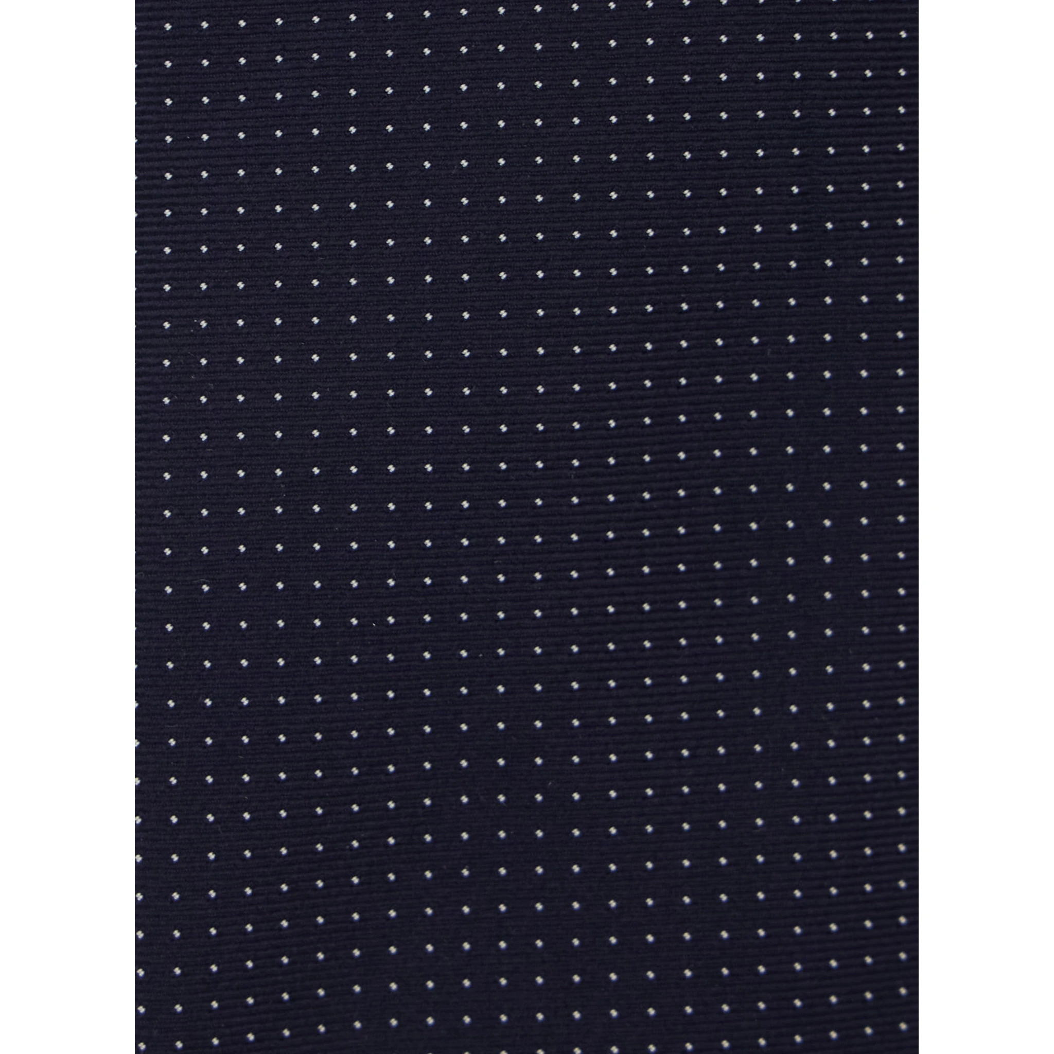 BlueTie with All-Over Polka Dots in Silk Man