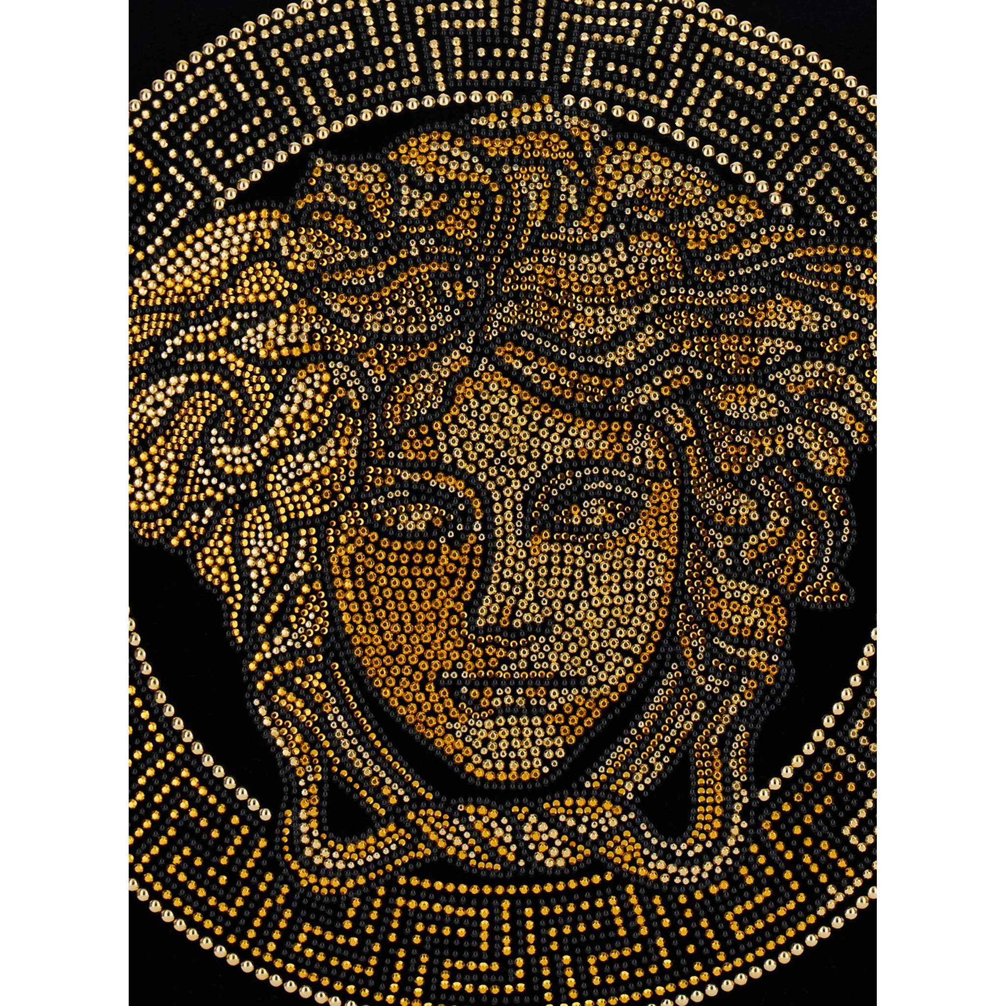 Icon Black Cushion with Medusa and Rhinestone in Cotton
